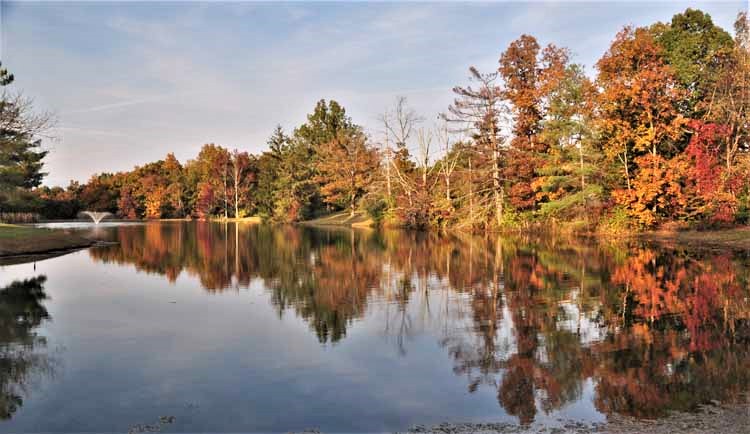 pond and autumn trees
